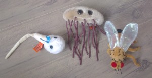 Een goed voorbeeld voor probs zijn Giant Microbes, een miljoen keer vergroote micro-organismen. Hier een spermacel, een darmbacterie en een fruitvlieg.